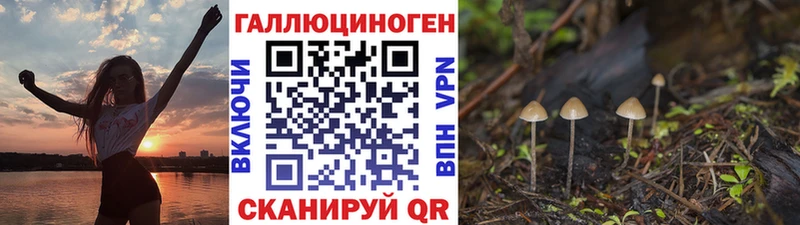 Галлюциногенные грибы мицелий  закладка  Бакал 